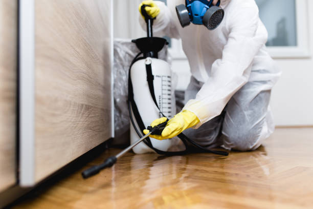 Best Termite Control Services  in Fairforest, SC