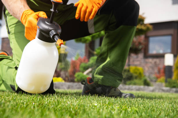 Best Pest Control for Homes  in Fairforest, SC