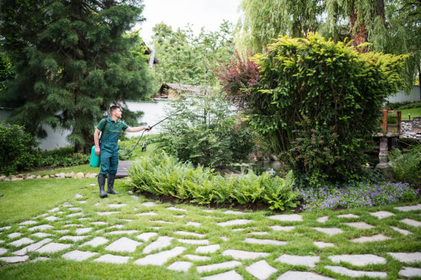 Best Residential Pest Control  in Fairforest, SC