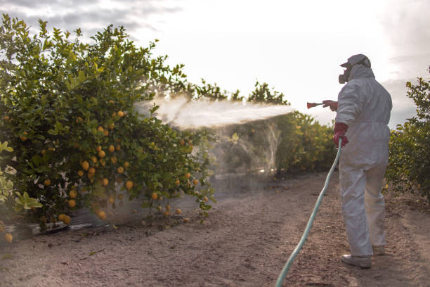 Best Mosquito Control Services  in Fairforest, SC