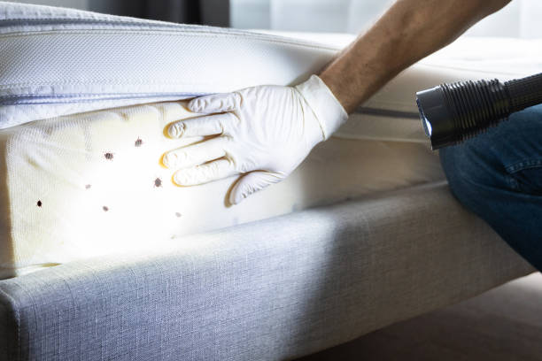 Best Best Pest Control Companies  in Fairforest, SC
