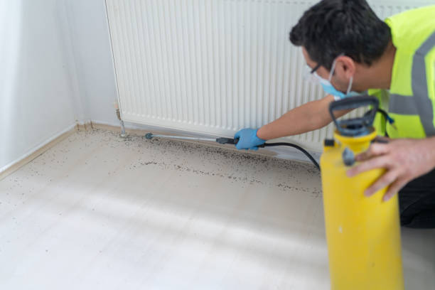 Best Wasp Removal Services  in Fairforest, SC