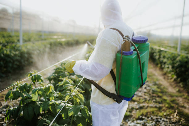 Best Commercial Pest Control Services  in Fairforest, SC